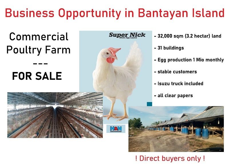 Egg Poultry Farm - High Profitable Business FOR SALE!