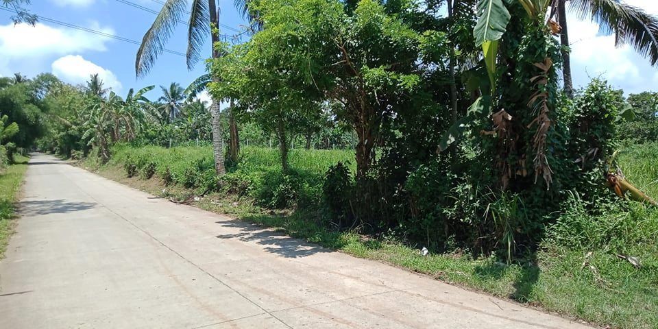 3,000 sqm Lot for Sale in Indang Cavite, 9M