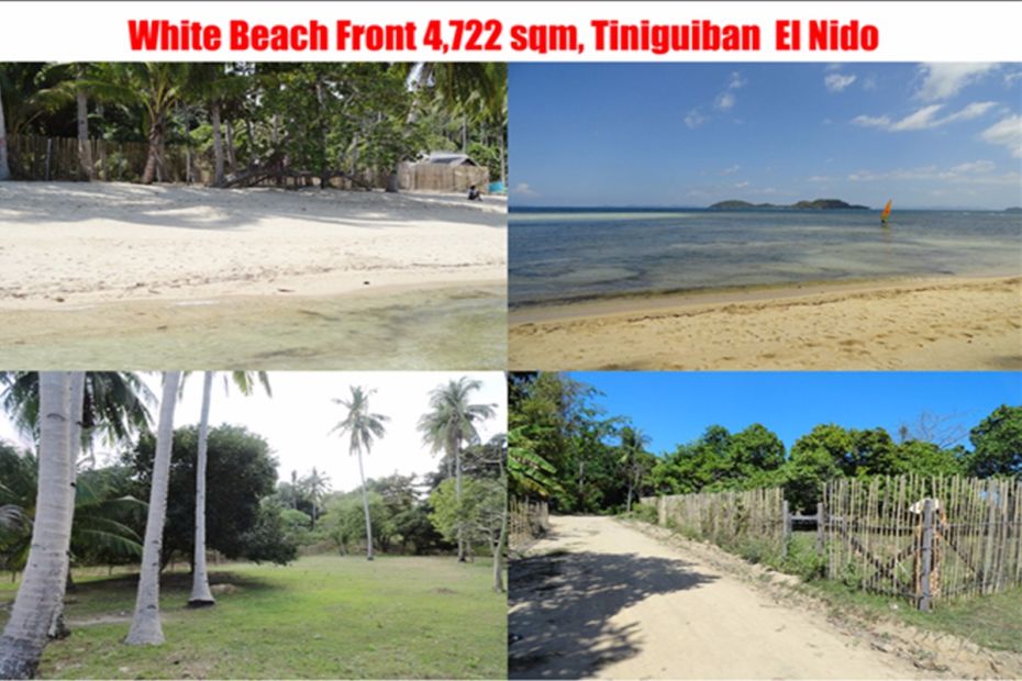 Clean Title  Beach Lot for Sale Nido Palawan  4722sqm