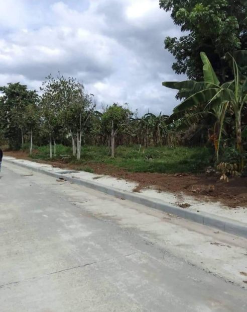 Clean Title Commercial lot for sale in San Agustin, Alaminos, Laguna