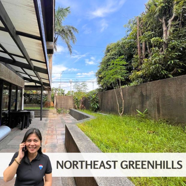 Vacant Residential Lot for Sale! in Northeast Greenhills, San Juan City