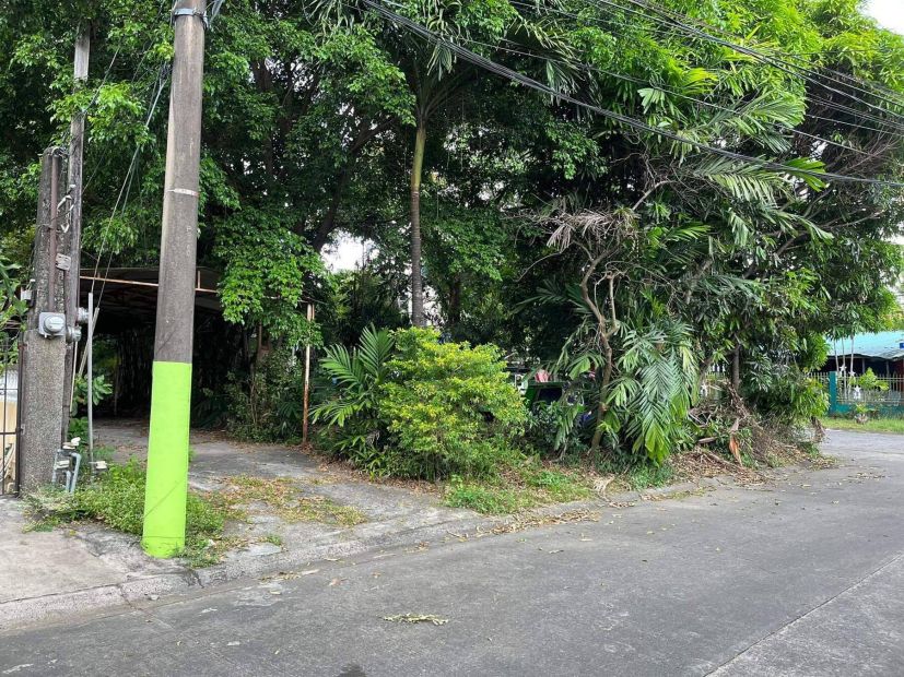 Corner Lot For Sale In BF Homes, Barangay Holy Spirit, Quezon City