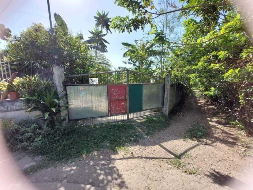 Farm Lot for sale in Lipa City Batangas with Fruit Bearing Trees