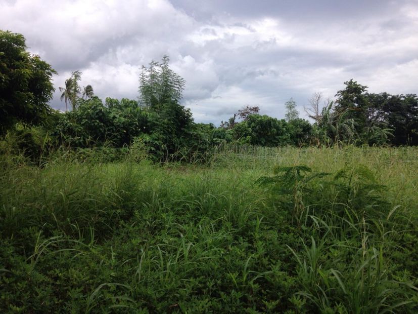 Isabang Ii Tayabas Quezon