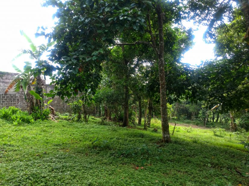 173 Sqm Residential Lot For Sale At Pajo, Alfonso, Cavite