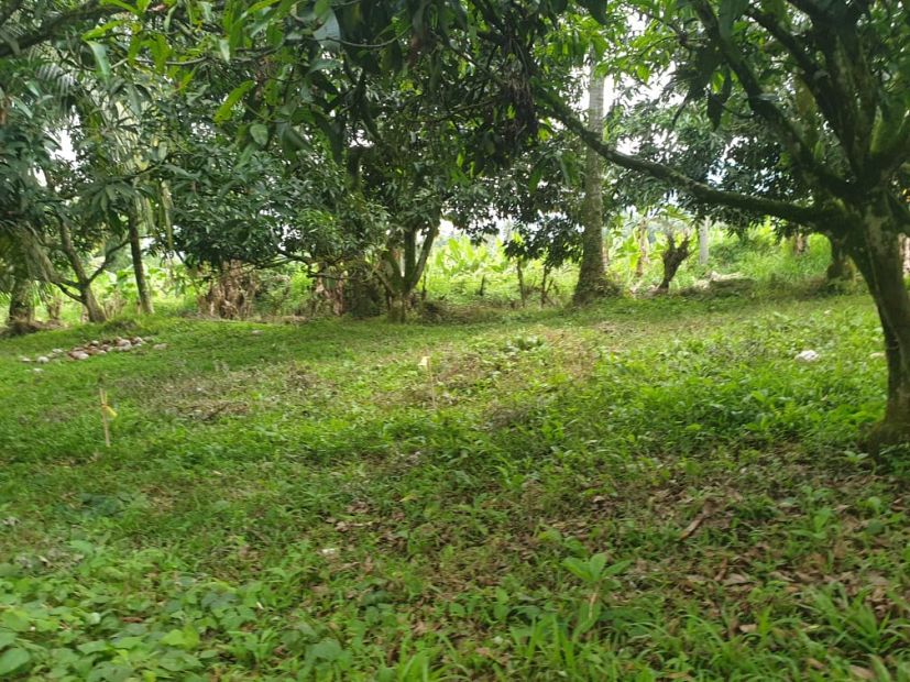 100 sqm Residential Lot For Sale For in Tibuloy Toril, Davao