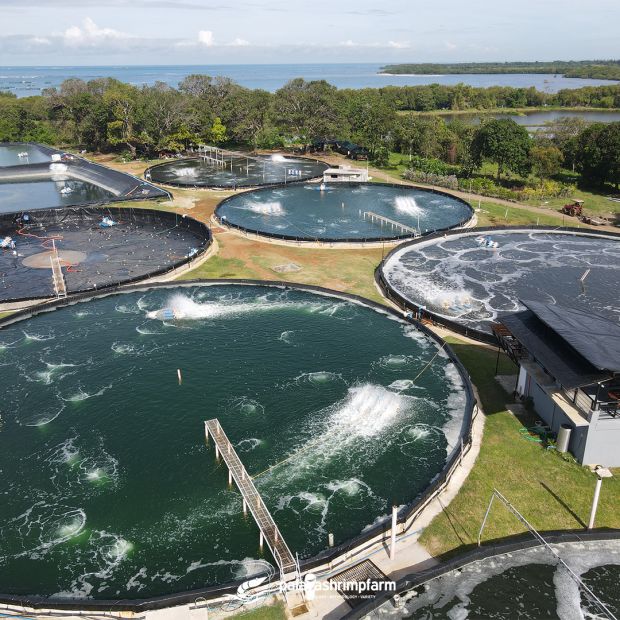 Shrimp Farm for Sale in Barangay Bato, Palauig, Zambales