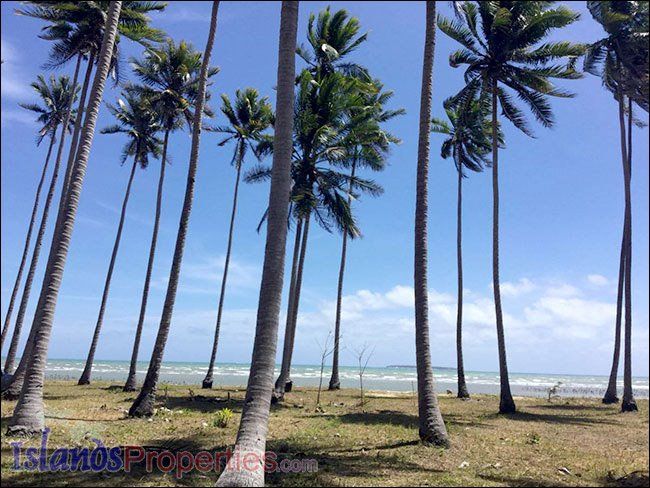 Beautiful Palawan Beach Lot, Brgy. Tigman, Aborlan