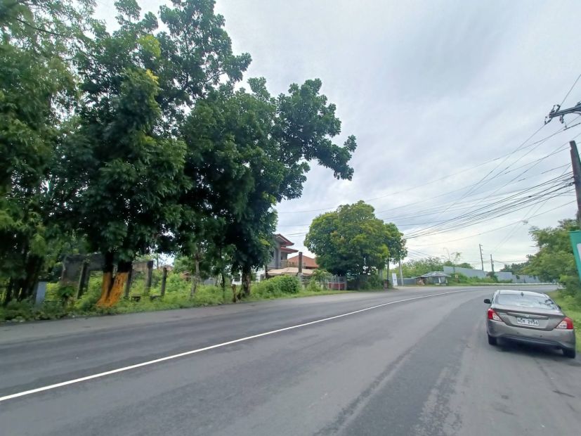 8,443 sqm. Lot For Sale in Batac City Along National Highway