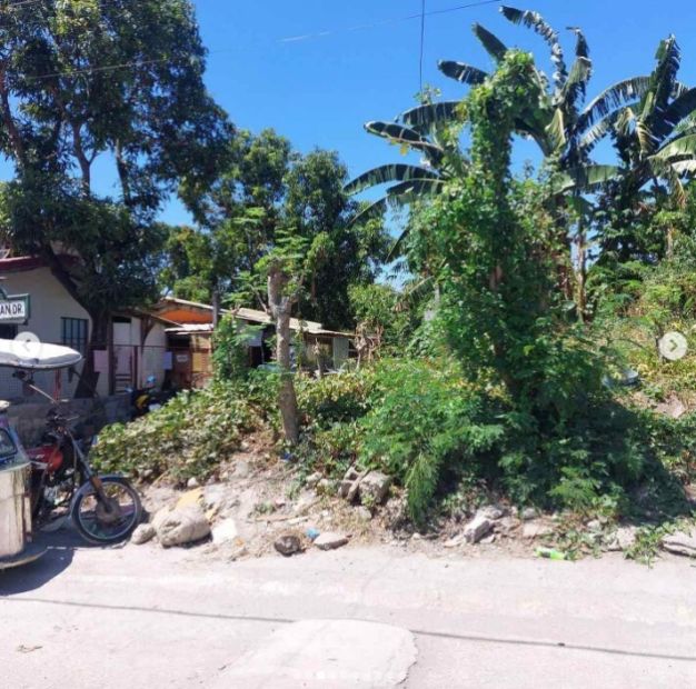 For Sale: Corner Vacant Lot at Victoria Homes Subdivision, Muntinlupa City