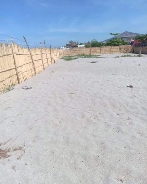 1000-square-meters-beach-lot-for-sale-in-cabangan-zambales