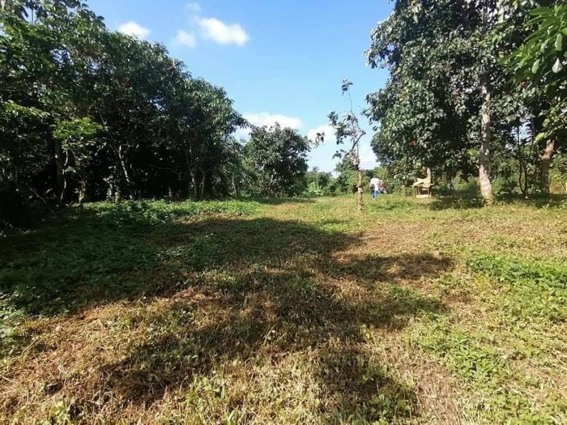 Farm lot in Alfonso Cavite inside Ilog Paraiso