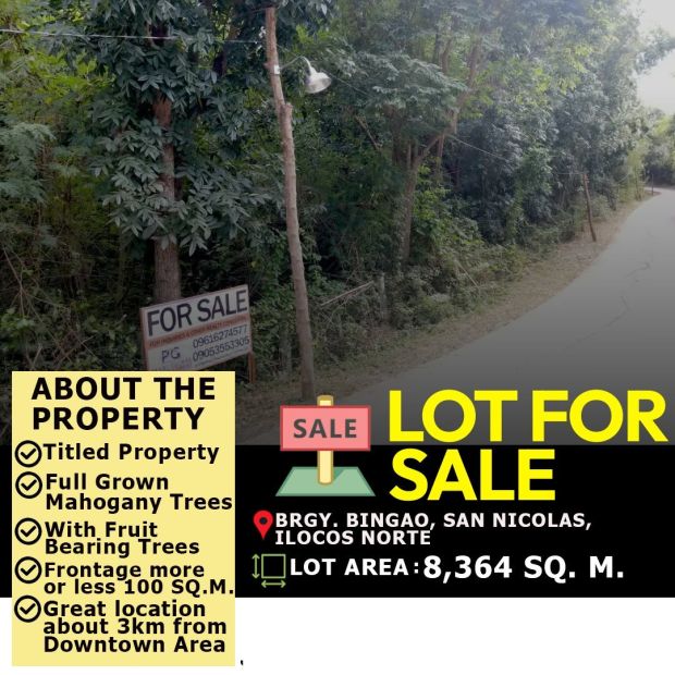 Lot property for sale in San Paulo, San Nicolas, Ilocos Norte