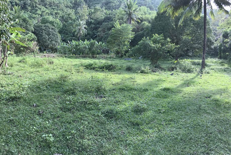 For Sale Farm Lot 2850 Sqm Area In Jaclupan Talisay City Cebu