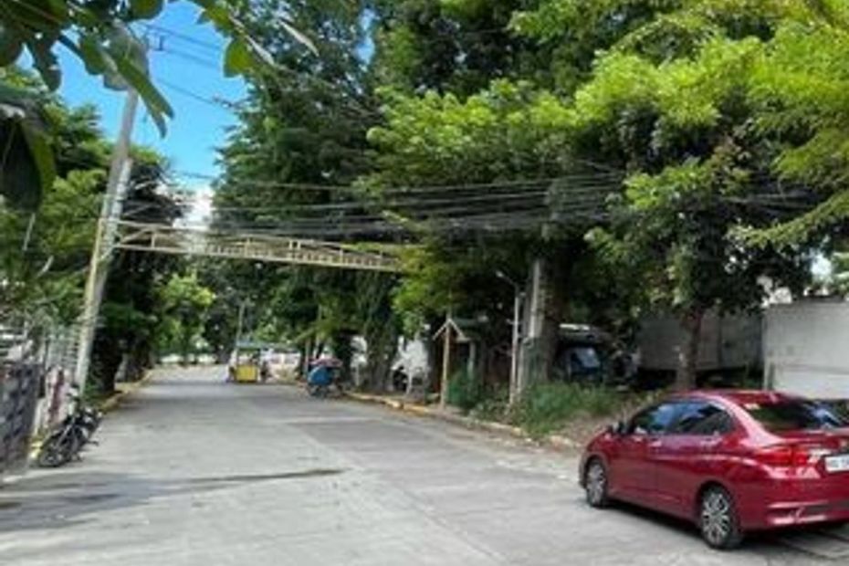 555 sqm Lot For Sale at Salvador Estate Sucat, Parañaque