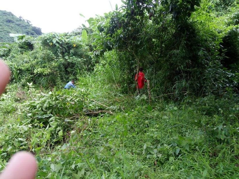 Lot for Sale in Quisao Pililia Rizal