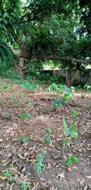 3000 sqm Vacant Commercial Lot for Lease in Baliuag, Bulacan - LA3K