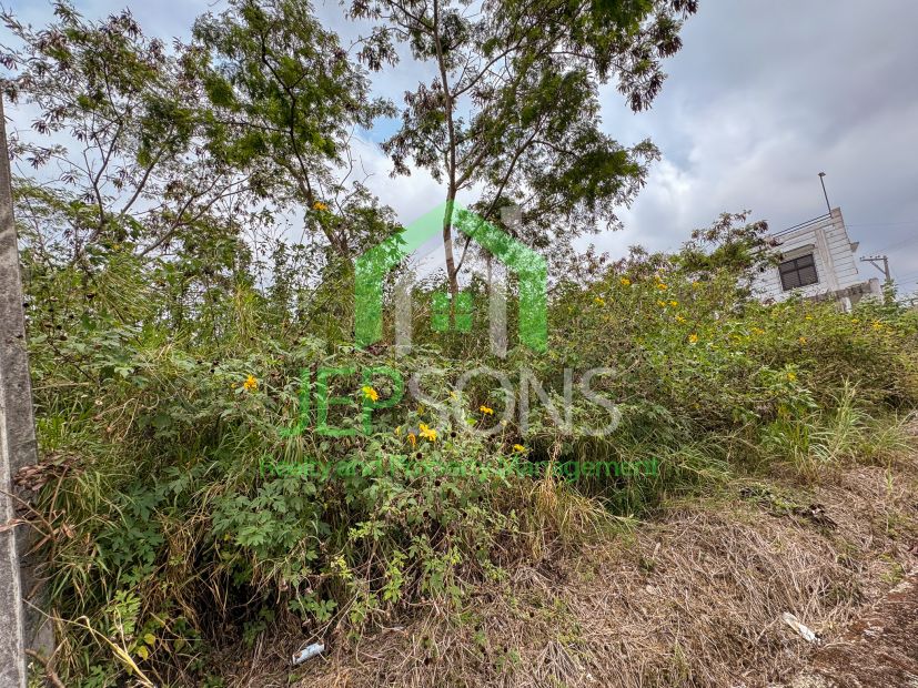 For Sale: Prime Residential Lot in Pinewoods Subdivision, Baguio City