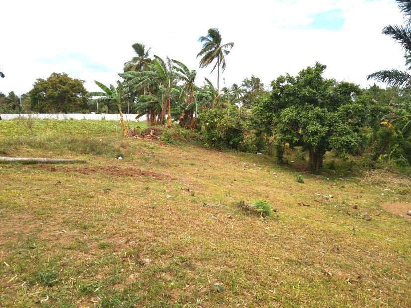 Residential Farm Lot for Sale in Magallanes, Cavite - Small Cut Available