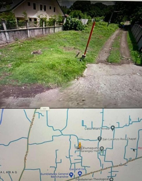 Lot for sale in East Balabag, Valencia, Negros Oriental