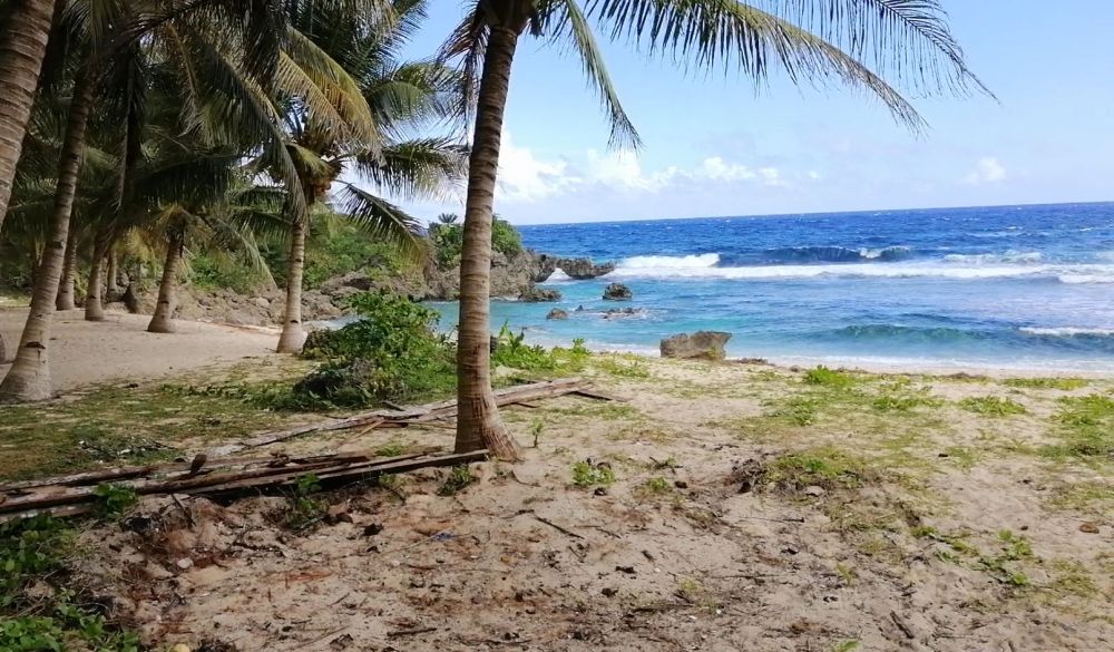 Beachfront Estate For Sale in Siargao (PL6887)