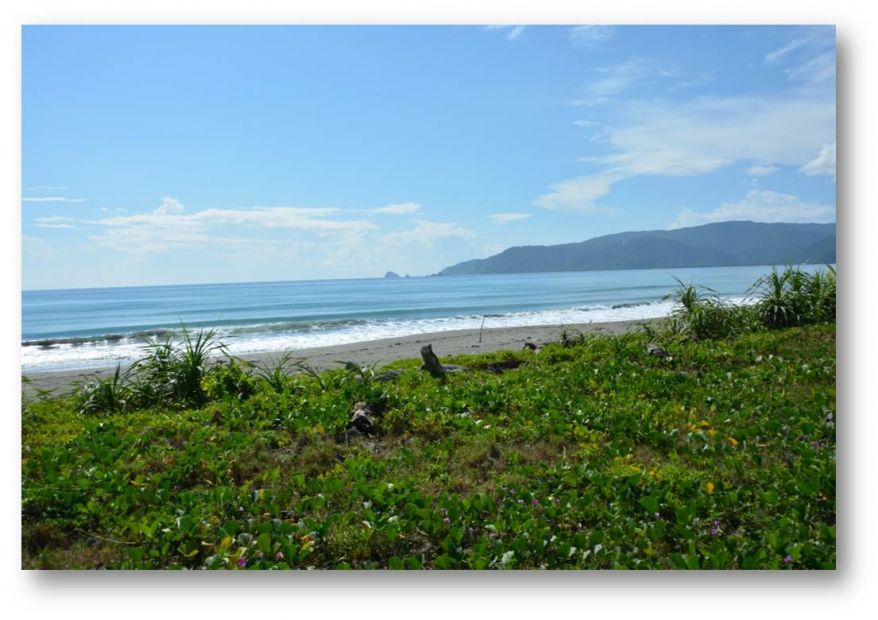 Beach Front Property At Baler For Sale