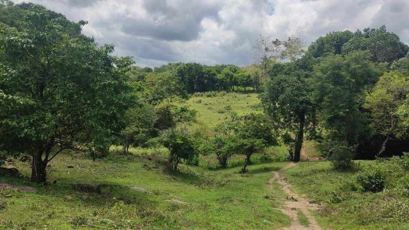 Affordable Residential Lot For Sale in Brgy. San Jose, Antipolo, Rizal