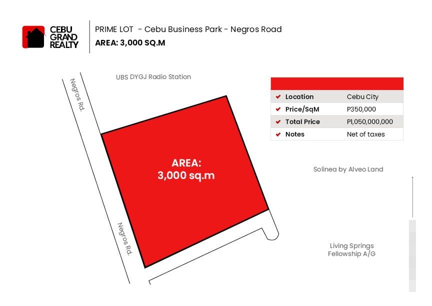 3000 Square Meters Commercial Lot For Sale Near Ayala Mall Cebu City