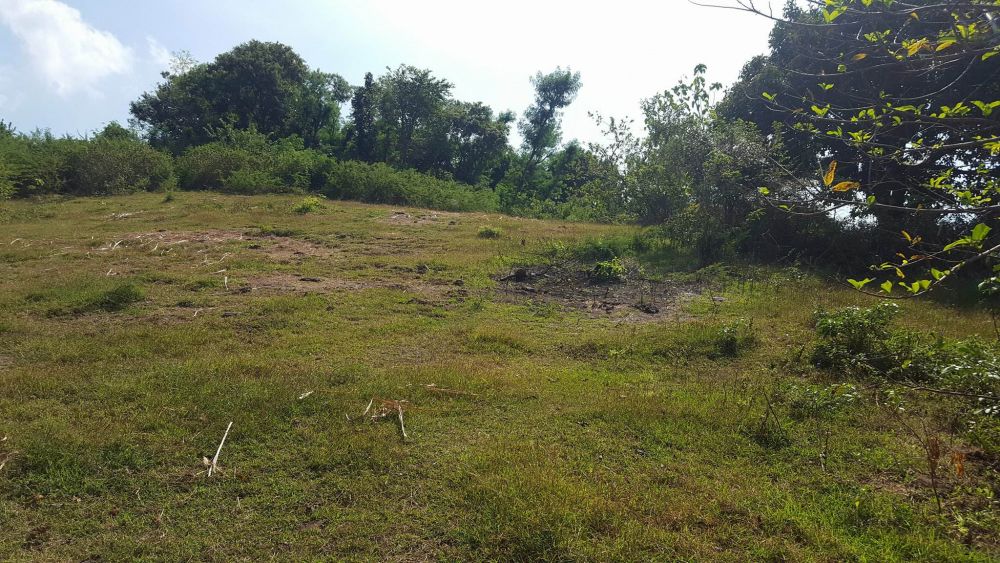 1.1 hectares raw land with sea view at Brgy. Tanagan Calatagan, Batangas