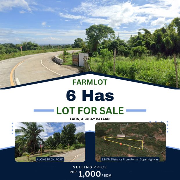 60,000 Sqm Farm Lot For Sale In Barangay Laon, Abucay, Bataan