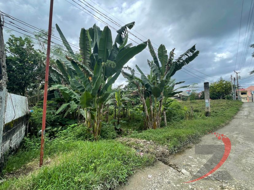 900-sq-meters-residential-lot-for-sale-at-tagbilaran-bohol