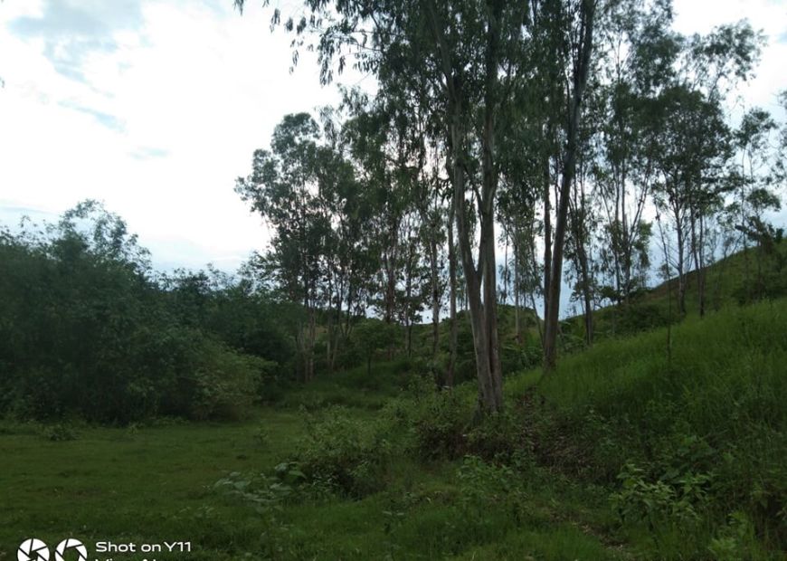 22-hectares-land-for-sale-at-a-very-low-price-100-sqm