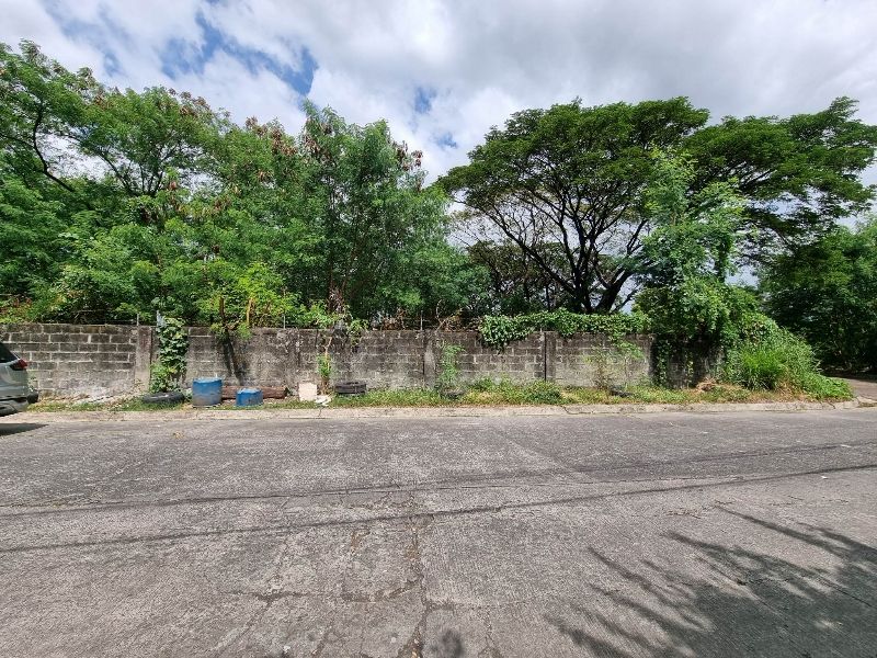 Non Flooding Vacant Lot at Multinational Village Parañaque City