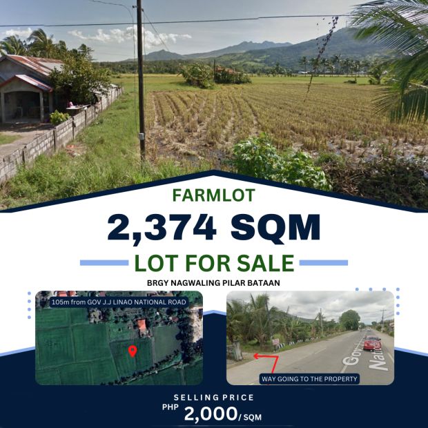 2,374 sqm Farm Lot for Sale in Barangay Nagwaling, Pilar, Bataan