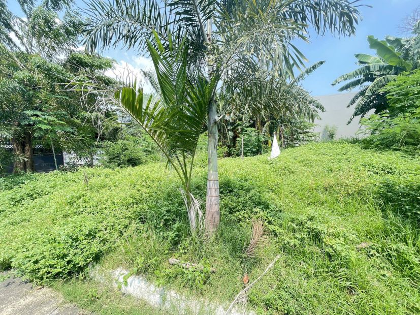 For Sale Vacant Lot in Pleasant Village, Tunasan, Muntinlupa