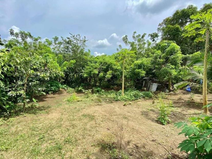 1,000 square meters Residential Lot for sale in Pulong Saging, Silang ...