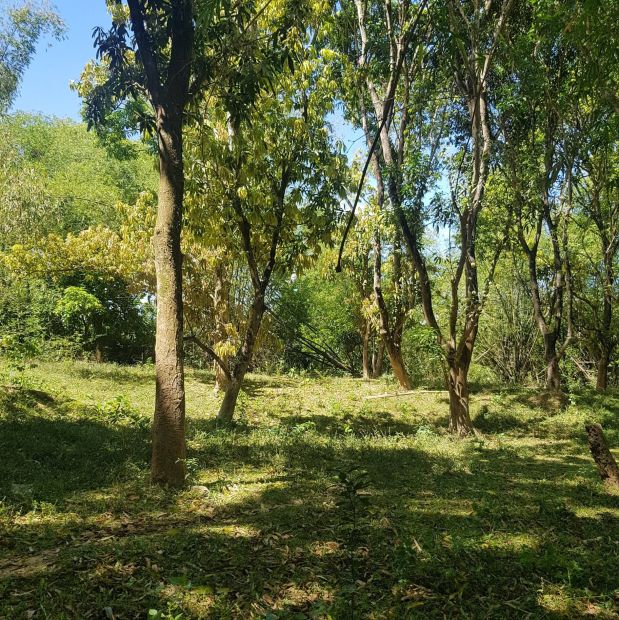 Farm Lot for Sale in San Jose, Antipolo Rizal