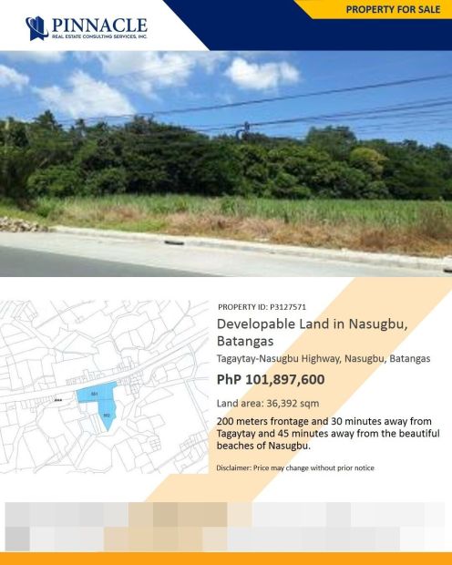 3.6 Hectares Developable Lot for Sale in Aga, Nasugbu, Batangas