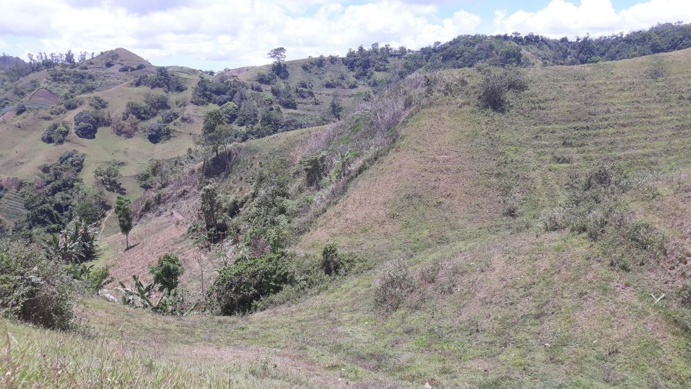 2-hectares-located-in-taptap-lahug-cebu-city-for-sale