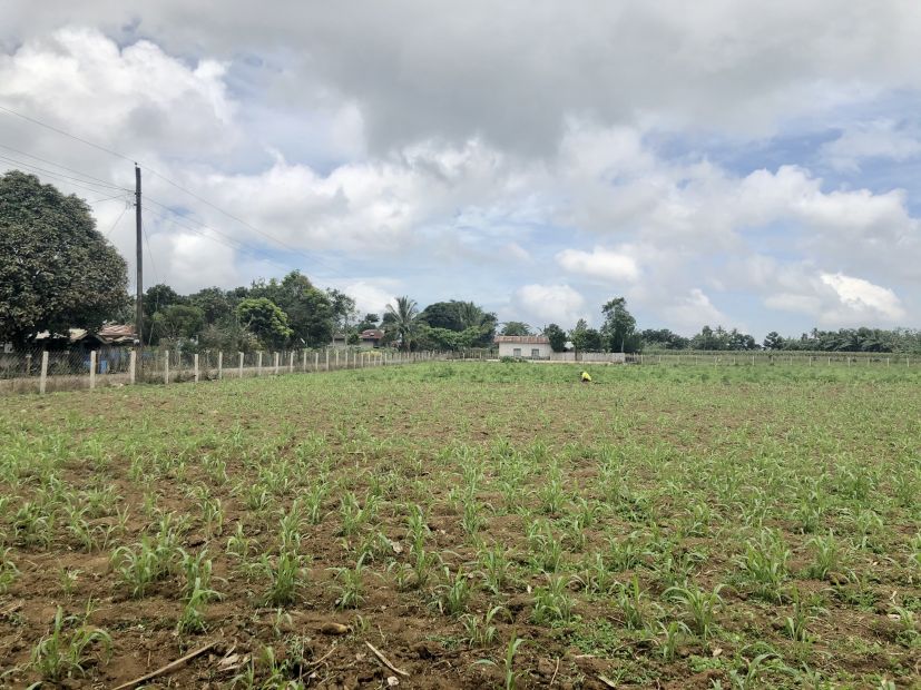 9,140 Sqm Lot in Claveria Misamis Oriental