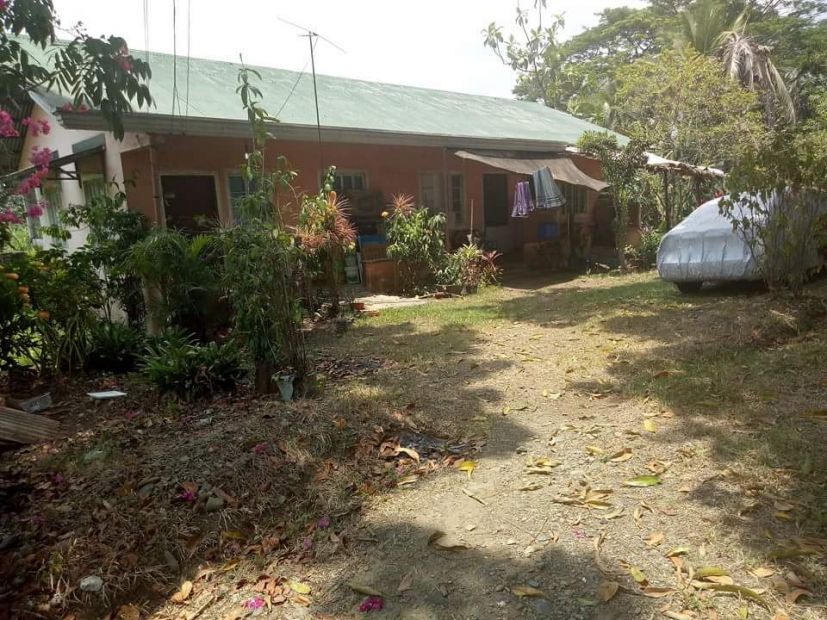 Residential Lot with 3 units apartment For Sale