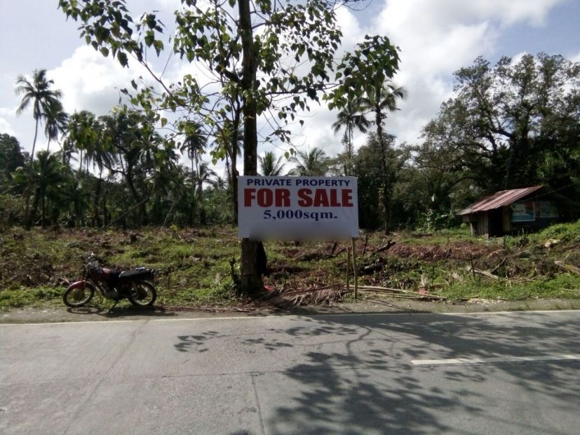 Land for Sale in Lumangbayan, San Teodoro, Oriental Mindoro