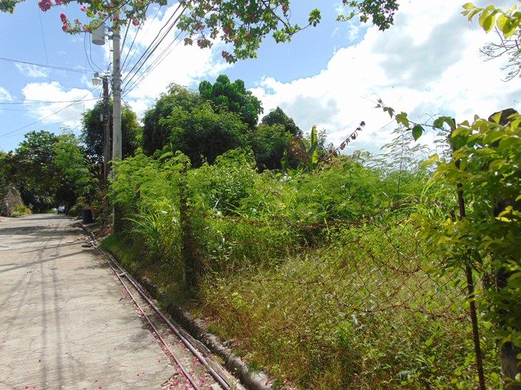 Lot for sale at Doña Rita Village, Banilad, Cebu City