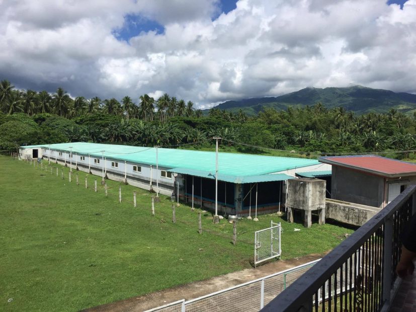 Fully Operational Piggery Farm