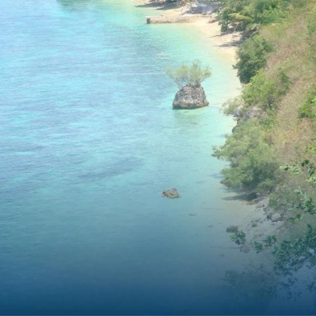 FOR SALE | Beach Lot Property Near Whale Watching Oslob, Cebu - 2,677 SQM