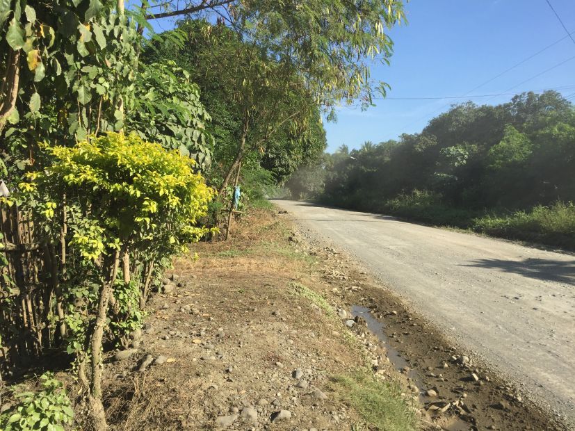 3 hectares Along the highway of Brgy. Consolacion, Panabo City