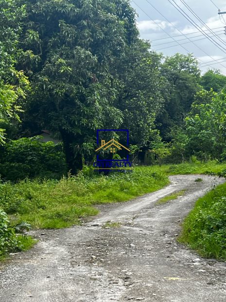 Farm lot For Sale in Baliti San Fernando Pampanga