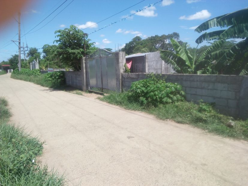 1,369 sqm. Lot For Sale in Purok 3, Malamig, Bustos, Bulacan