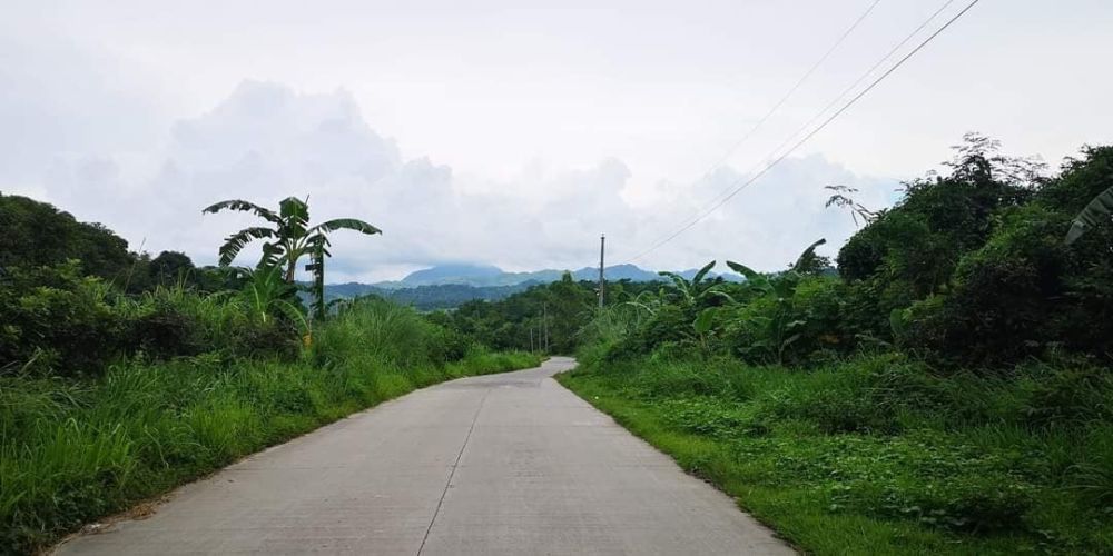 Farm Lot For Sale With Beautiful View Of Natural Scenery In Porac Pampanga!