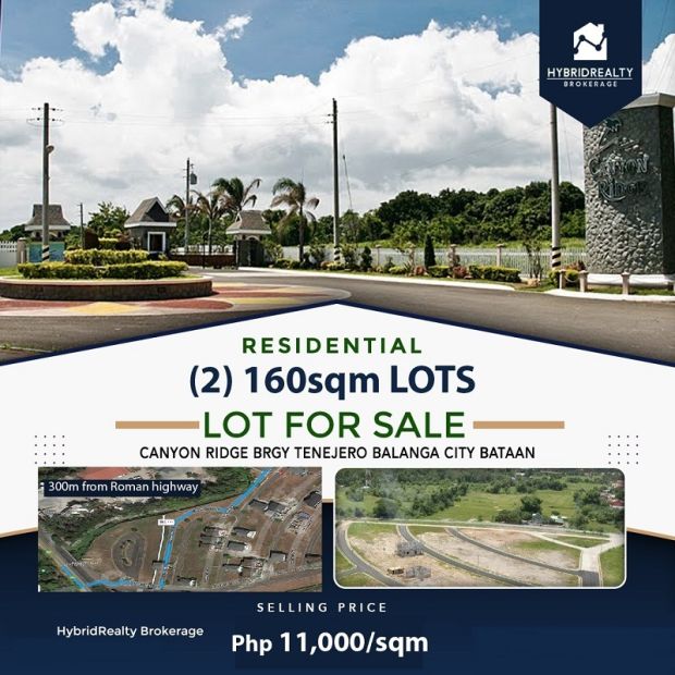 160sqm Lot in Canyon Ridge Balanga City Bataan